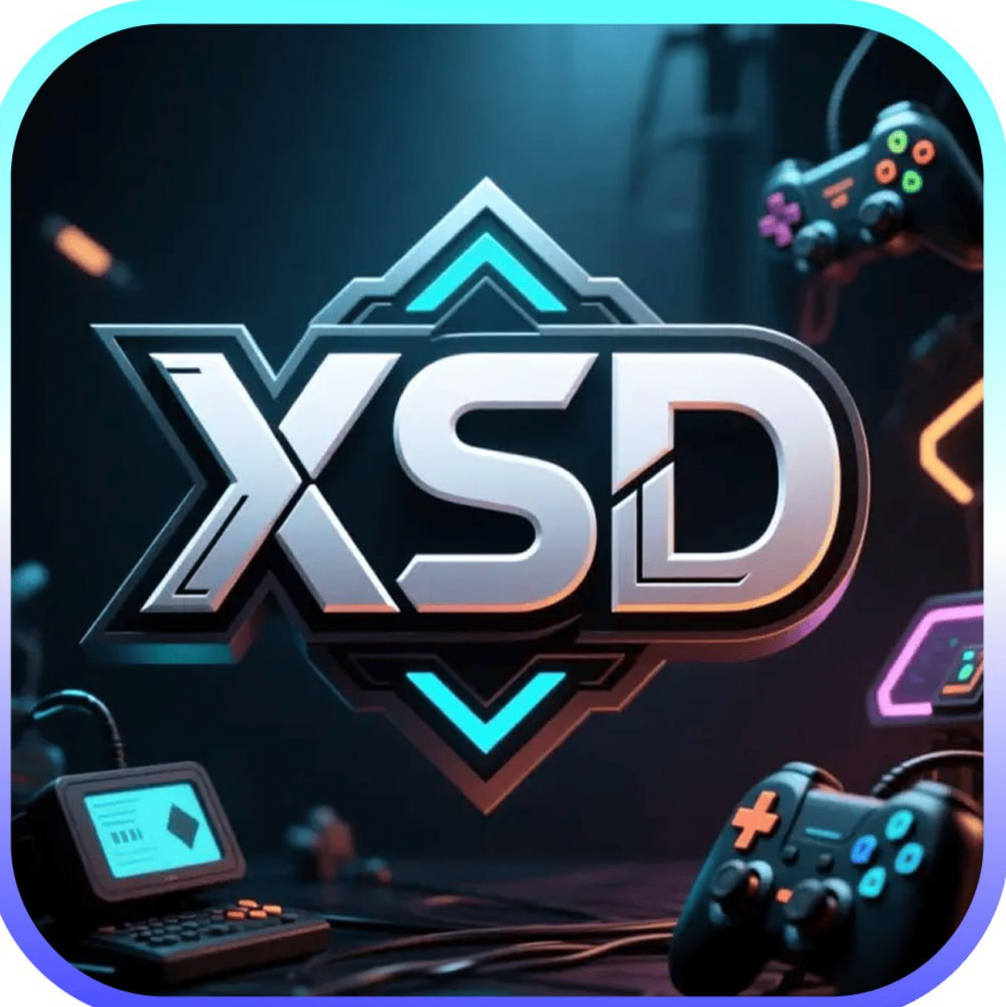 xsd新时代内排中